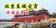操白虎B中国北京-东城古宫旅游风景区